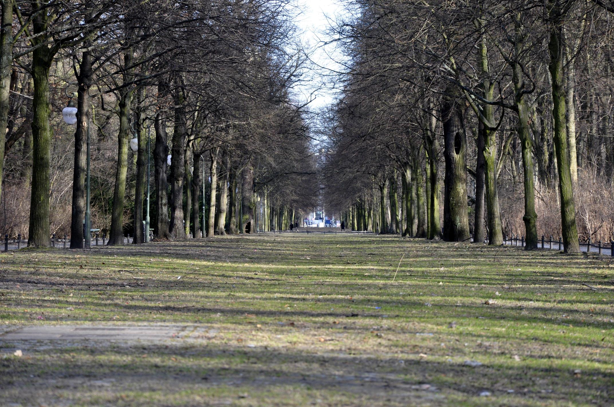 Giardini/Immagini/900_tiergarten - Berlin/_DSC0198.jpg